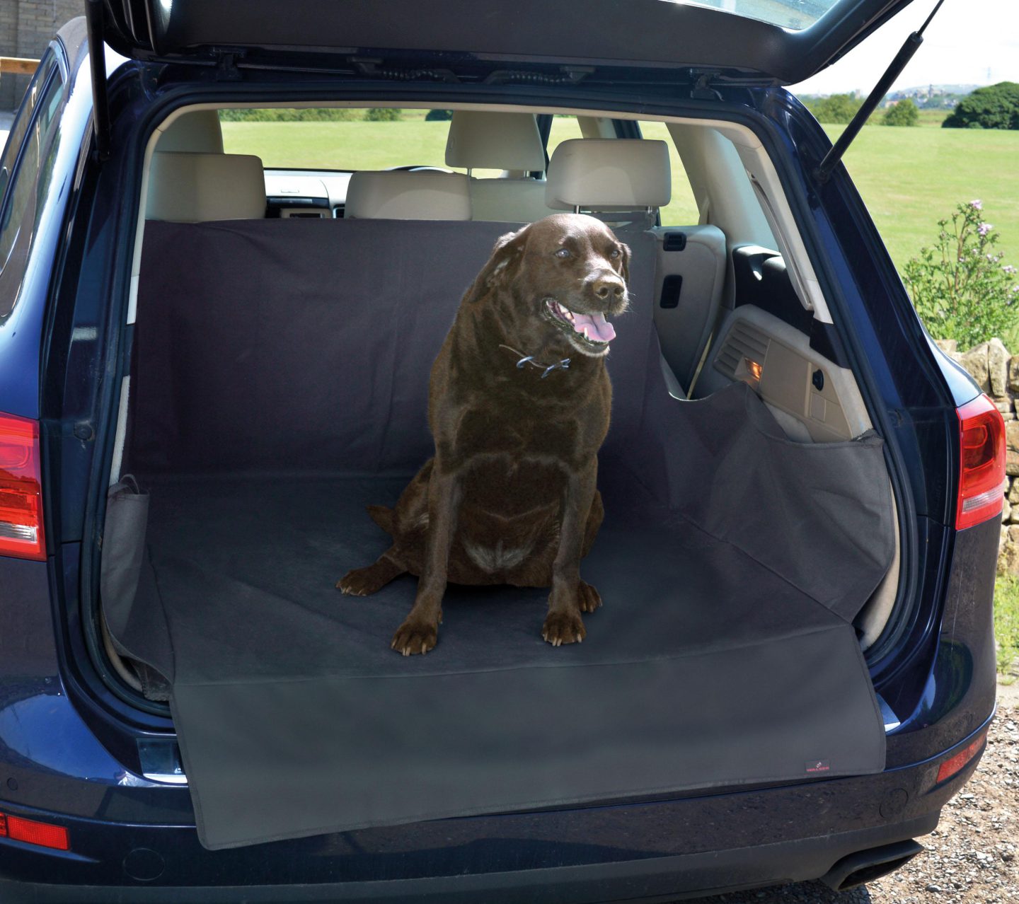 The Best Dog Car Accessories - Halfords