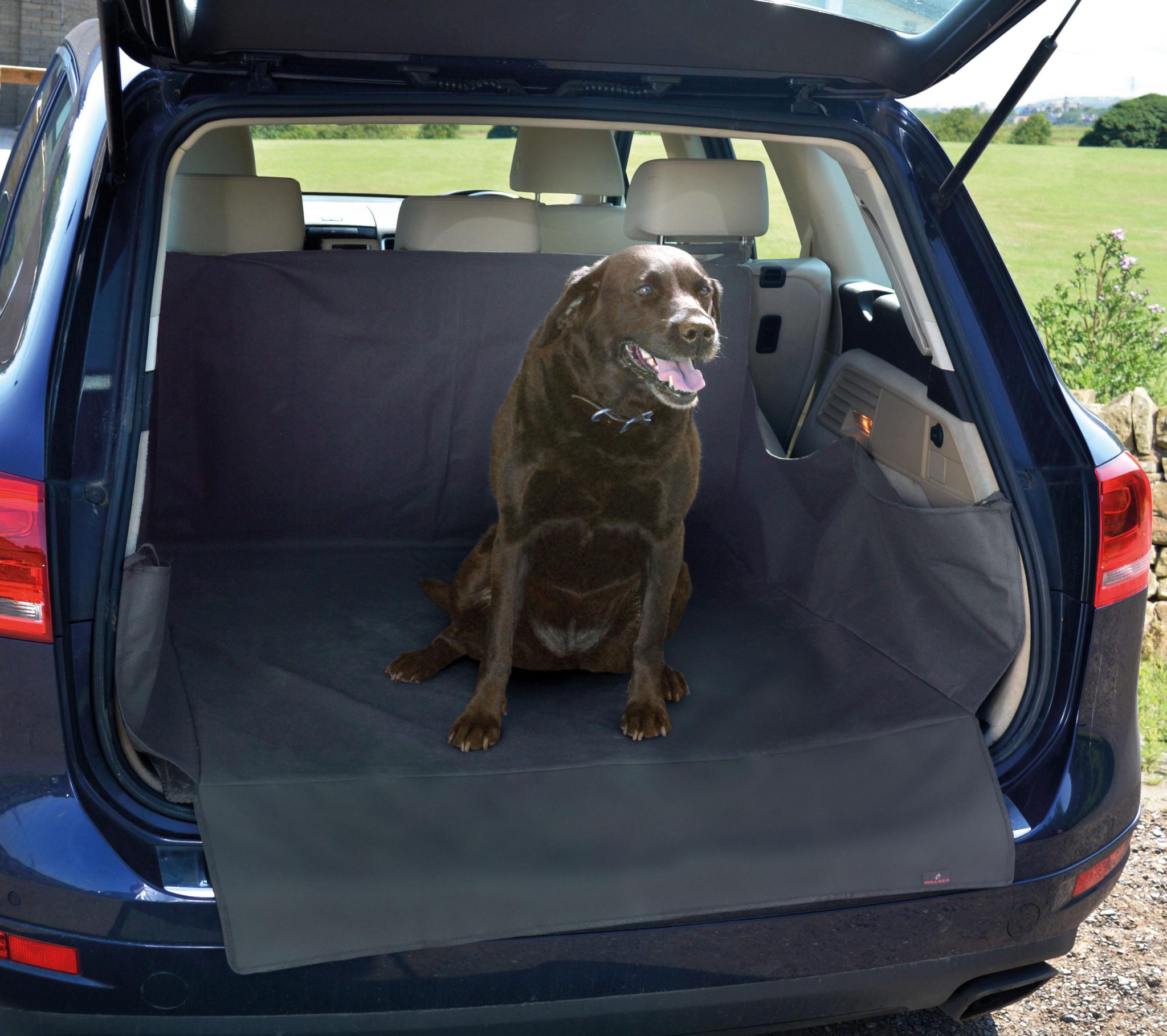 The Best Dog Car Accessories Halfords