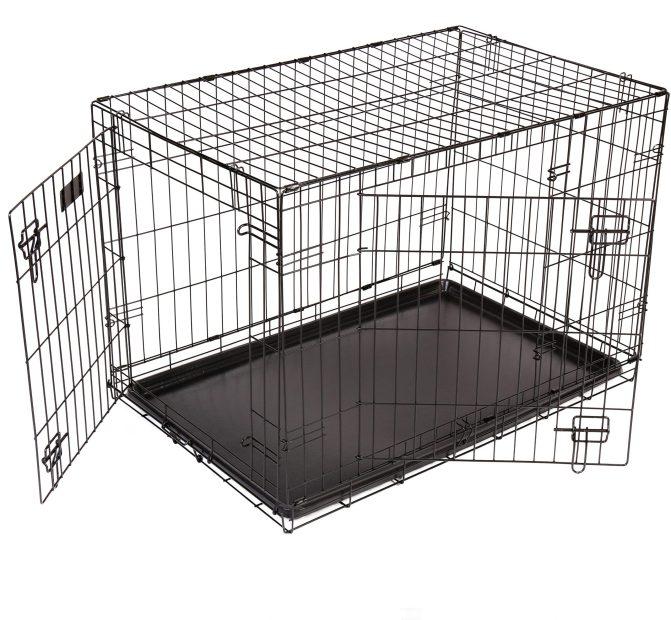 The Best Dog Car Accessories Halfords